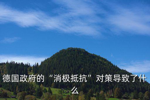 德國政府的“消極抵抗”對策導致了什么