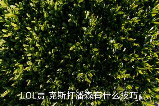 虎神賈克斯,對齊期間輔助必須補到6級否則很難打贏