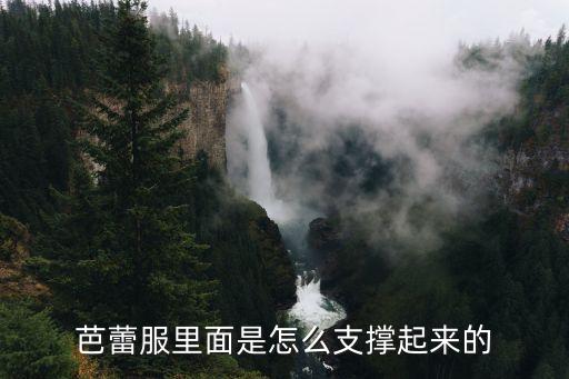芭蕾服里面是怎么支撐起來的