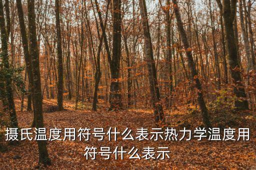 攝氏溫度用符號(hào)什么表示熱力學(xué)溫度用符號(hào)什么表示