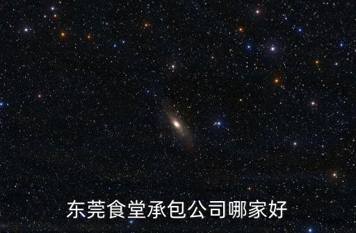 東莞食堂承包公司哪家好