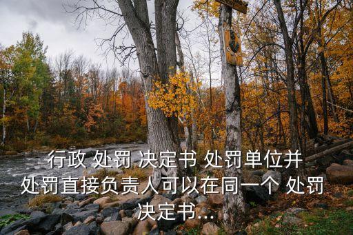  行政 處罰 決定書 處罰單位并 處罰直接負責人可以在同一個 處罰 決定書...