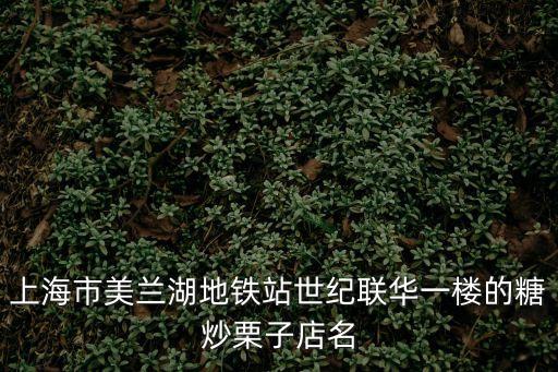 上海市美蘭湖地鐵站世紀聯華一樓的糖炒栗子店名