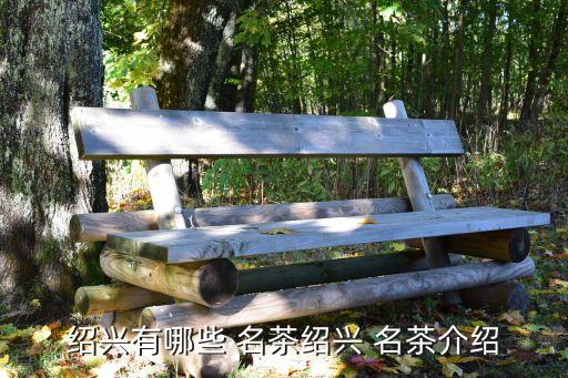 浙江名茶,新昌出現明州丹茗四大名茶