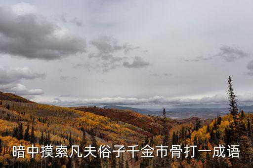 暗中摸索凡夫俗子千金市骨打一成語