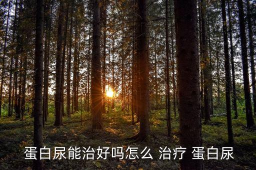 蛋白尿如何治療,蛋白尿能否治愈?一般來說無需治療