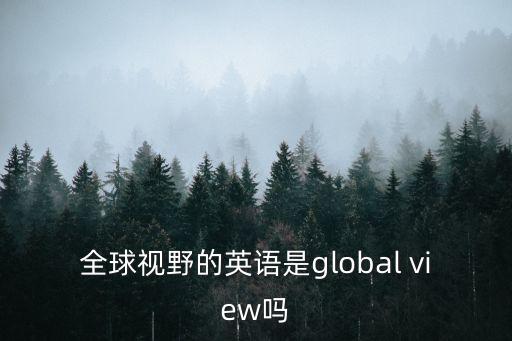 全球視野的英語是global view嗎