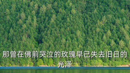 那曾在佛前哭泣的玫瑰早已失去舊日的光澤