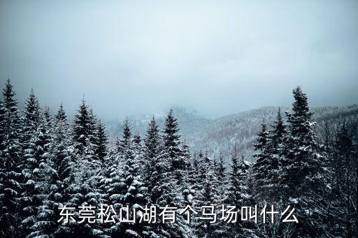 東莞馬術(shù)場(chǎng)，東莞松山湖有個(gè)馬場(chǎng)叫什么