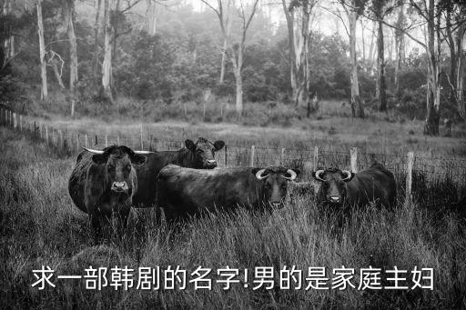 李英幼,韓國失業(yè)率上升男性走進(jìn)廚房扮演家庭主婦