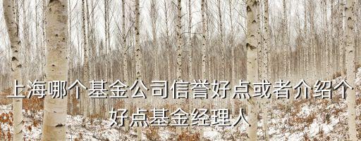 上海哪個基金公司信譽好點或者介紹個好點基金經理人