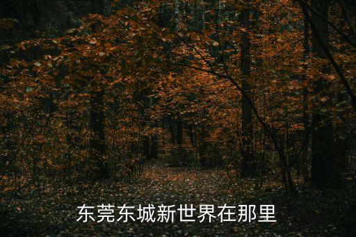 新世界地產(chǎn)進(jìn)駐東莞，東莞東城新世界在那里