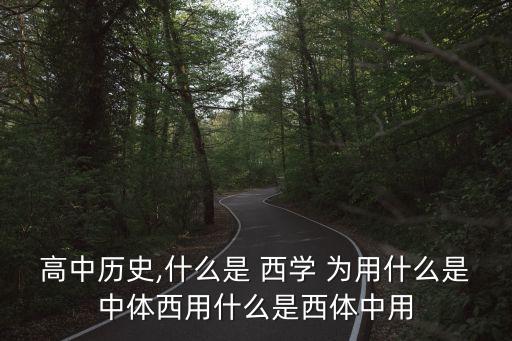 中學為體西學為用