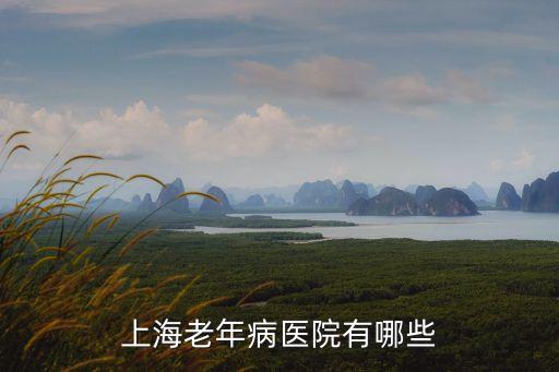 上海老年病醫(yī)院有哪些