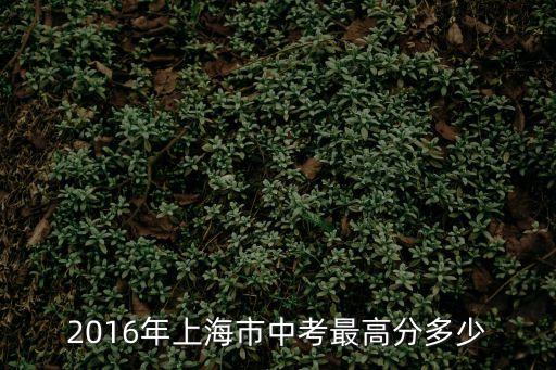 2016年上海市中考最高分多少