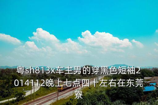 粵sh813x車主男的穿黑色短袖2014112晚上七點四十左右在東莞寮