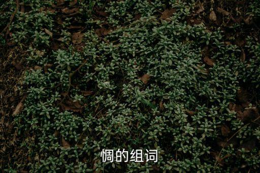 氐惆,中學語文學習詞匯表