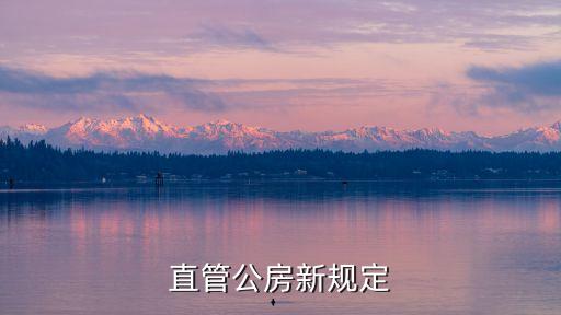 直管公房新規定