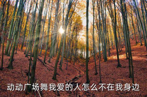 廣場舞西海情歌，哪些歌是三步廣場舞