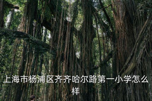 上海市楊浦區齊齊哈爾路第一小學怎么樣