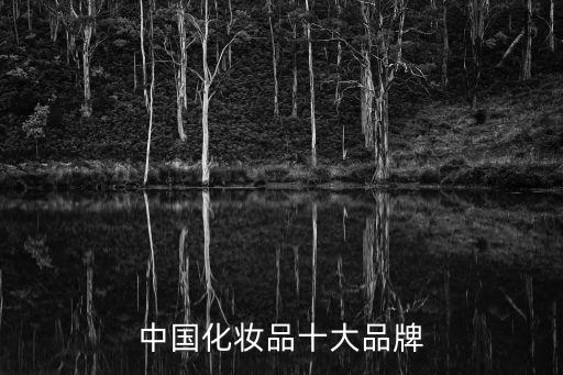 化妝品連鎖品牌，哪些連鎖的化妝品店比較好收錄的品牌比較多