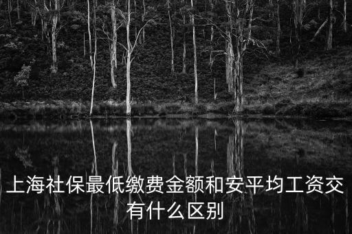 上海社保最低繳費金額和安平均工資交有什么區別