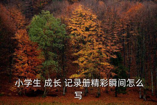 小學生成長記錄,六年的小學生生活將如何寫下完美句號
