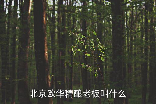 北京歐華精釀老板叫什么