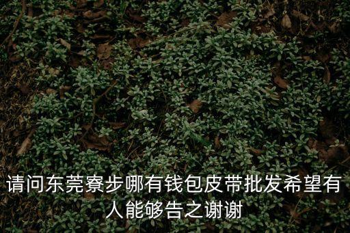 打包帶廠家直銷東莞，請問東莞寮步哪有錢包皮帶批發希望有人能夠告之謝謝