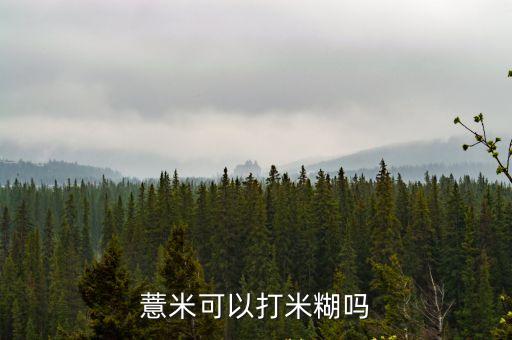 薏米可以打米糊嗎