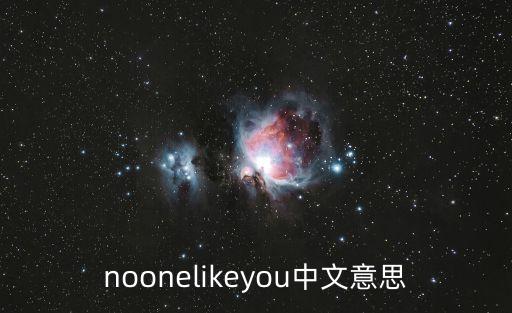 noonelikeyou中文意思