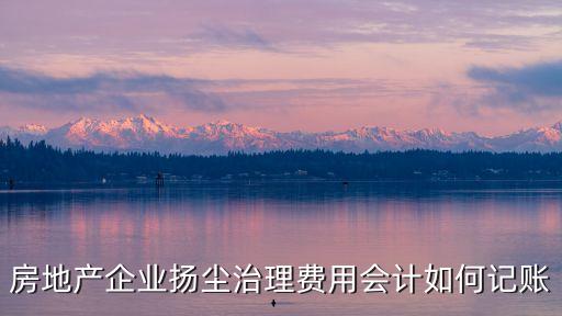 上海市揚塵治理費，房地產企業揚塵治理費用會計如何記賬