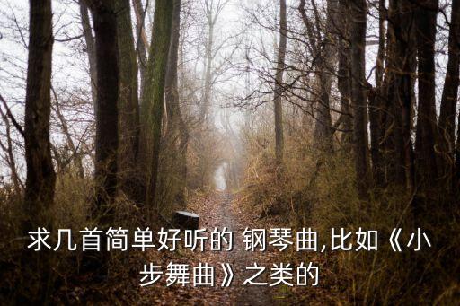 求幾首簡單好聽的 鋼琴曲,比如《小步舞曲》之類的