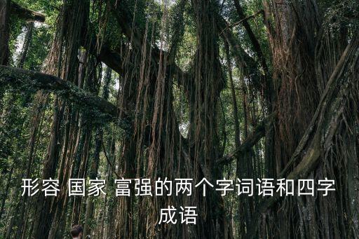 形容 國家 富強的兩個字詞語和四字成語