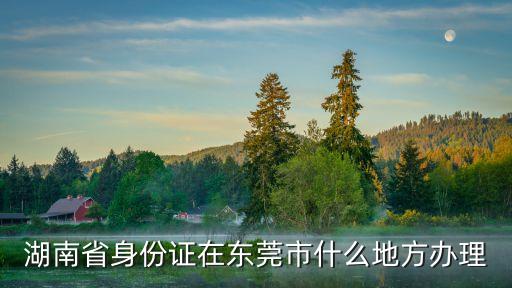 湖南省身份證在東莞市什么地方辦理