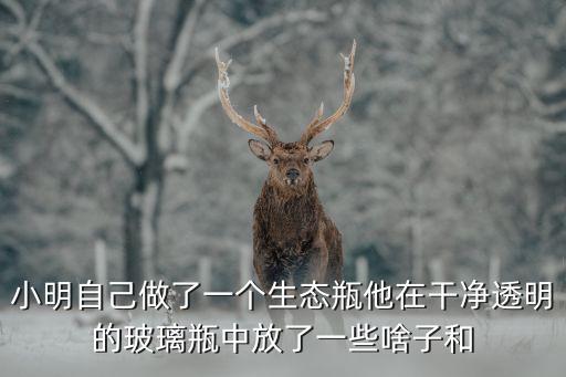 小明自己做了一個生態(tài)瓶他在干凈透明的玻璃瓶中放了一些啥子和