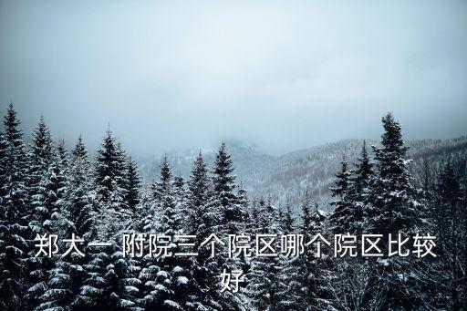 鄭大一附院官網(wǎng),鄭州大學(xué)第一附屬醫(yī)院是哪家醫(yī)院?
