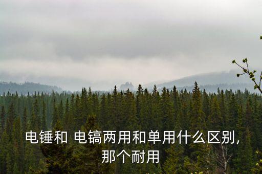  電錘和 電鎬兩用和單用什么區(qū)別,那個耐用