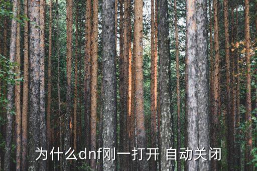 為什么dnf剛一打開 自動關閉