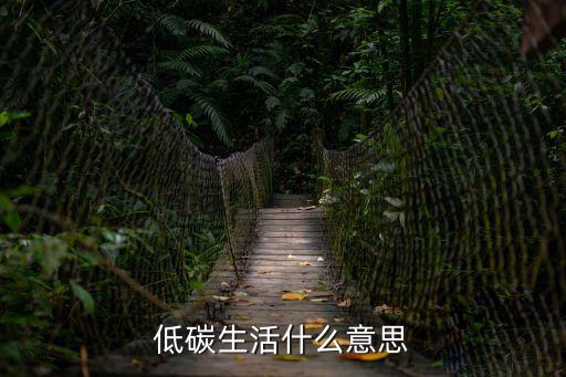 低碳生活什么意思