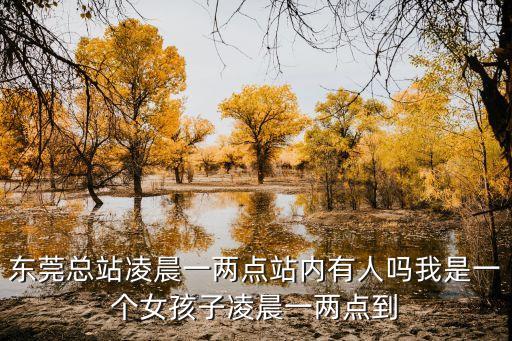 東莞總站凌晨一兩點站內有人嗎我是一個女孩子凌晨一兩點到