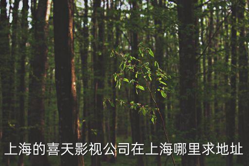 上海的喜天影視公司在上海哪里求地址