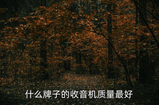 什么牌子的收音機質量最好