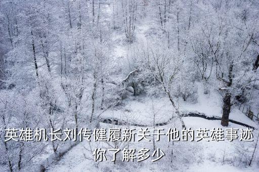 英雄機長，求一本英雄飛行員機長寫的書的書名
