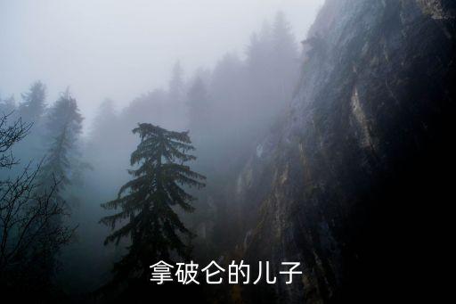 弗朗茨二世，西羅馬和東羅馬帝國分別是什么時候怎么滅亡的