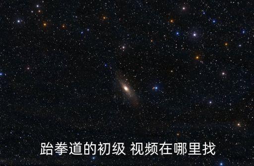 跆拳道視頻兒童版,上海最專業少兒武術培訓機構圣道會新空手道