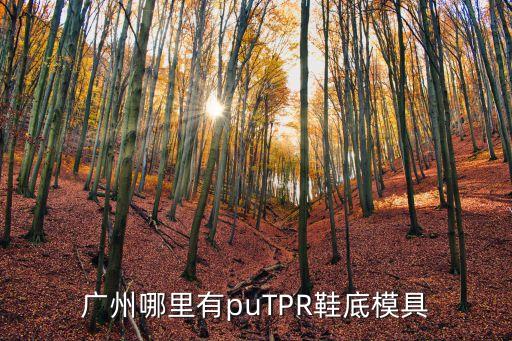 廣州哪里有puTPR鞋底模具