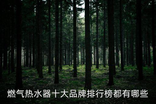 燃氣熱水器排行榜，燃氣熱水器品牌排行