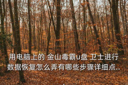 用電腦上的 金山毒霸u盤 衛士進行數據恢復怎么弄有哪些步驟詳細點...