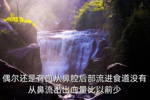 偶爾還是有血從鼻腔后部流進食道沒有從鼻流出出血量比以前少
